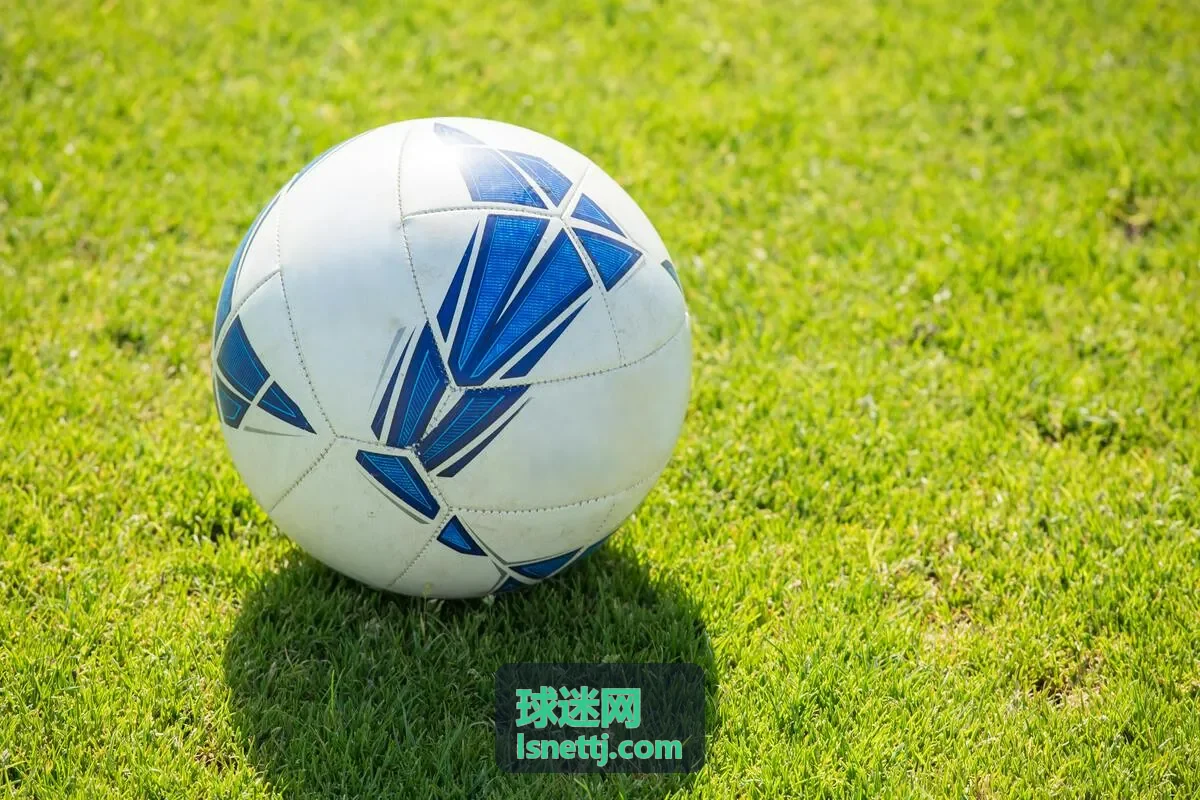 球迷网线下观赛聚会